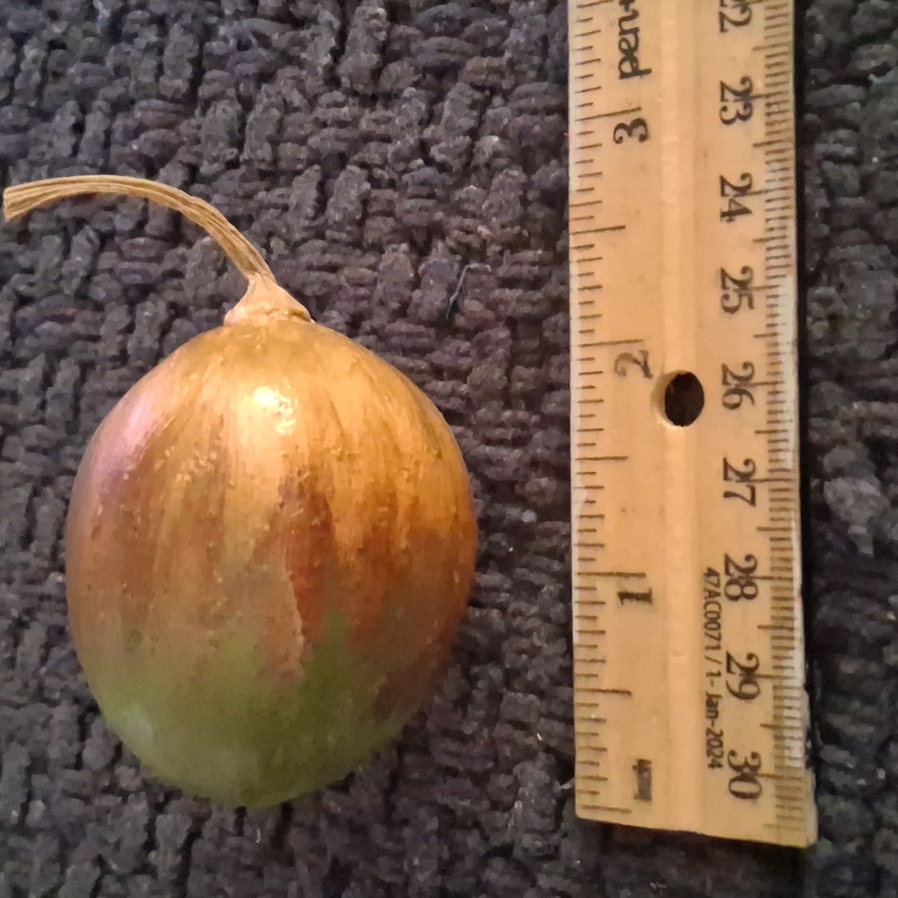 Rustic Dried Gourd Collection - Picture 9 of 9